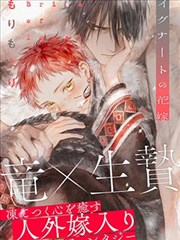 漫画《海贼王》封面